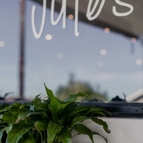 Jules_on_Jarvis19of223